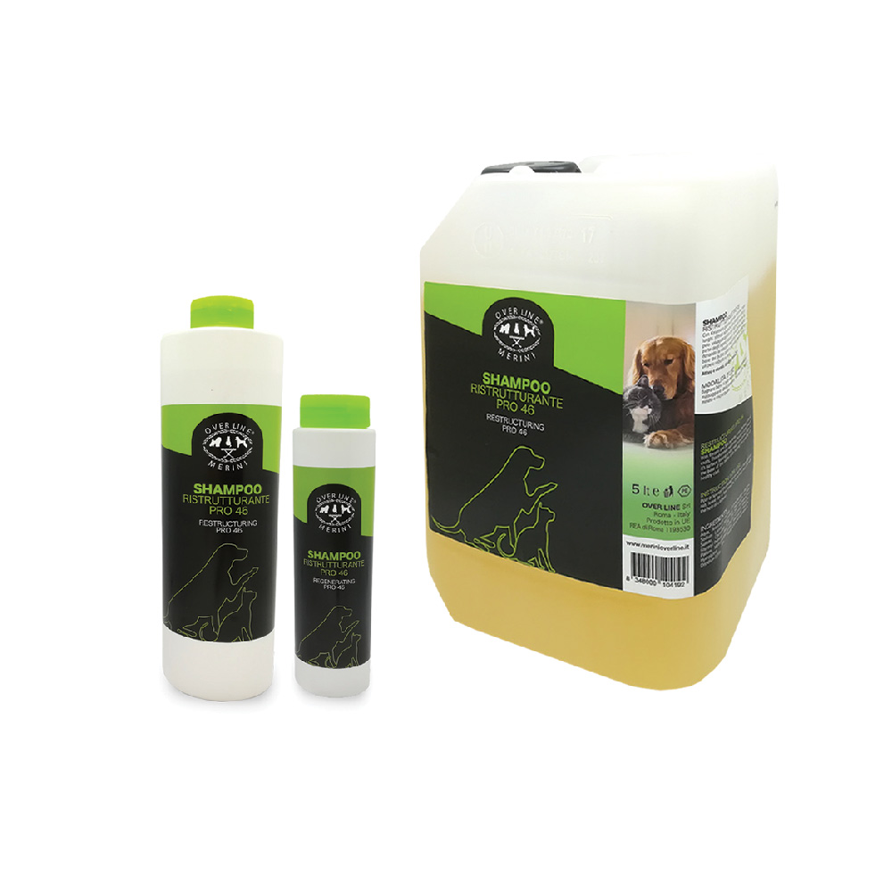 Shampoo Ristrutturante Pro Active 46