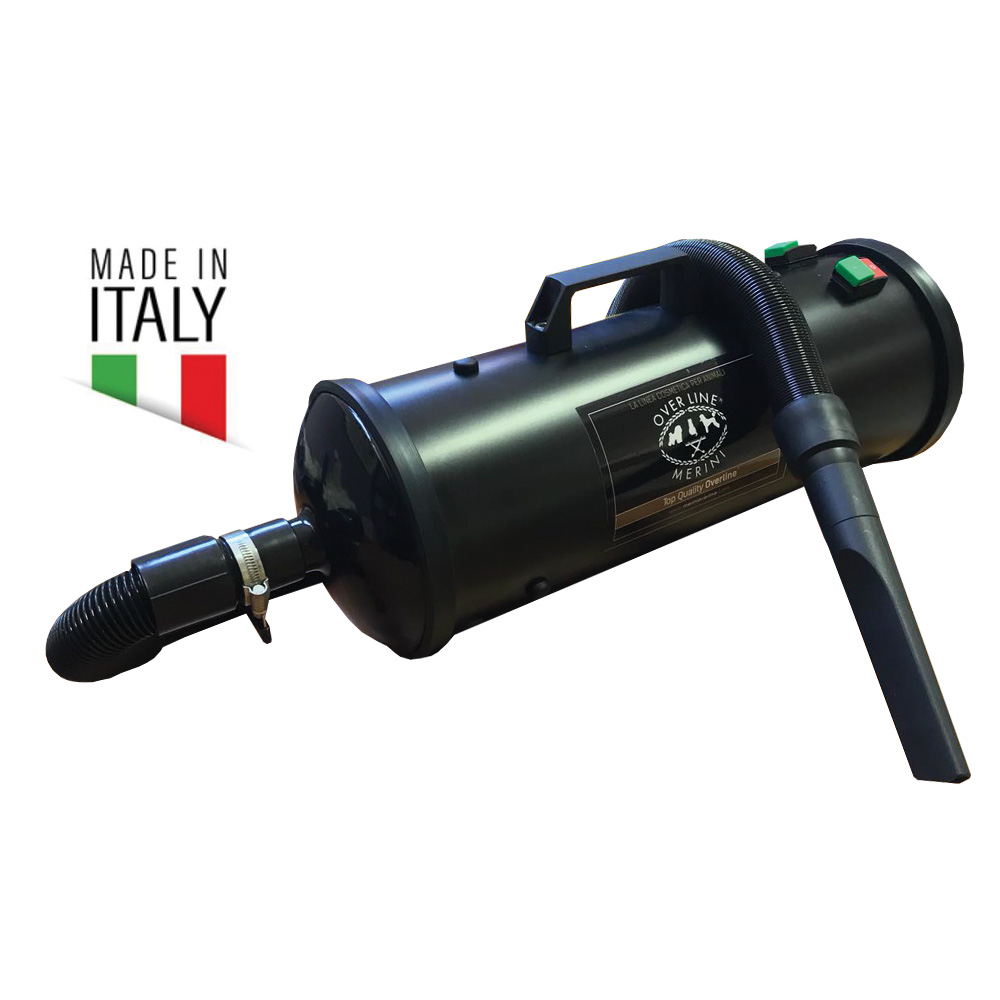 Soffiatore Doppio Motore 2400w Made in Italy